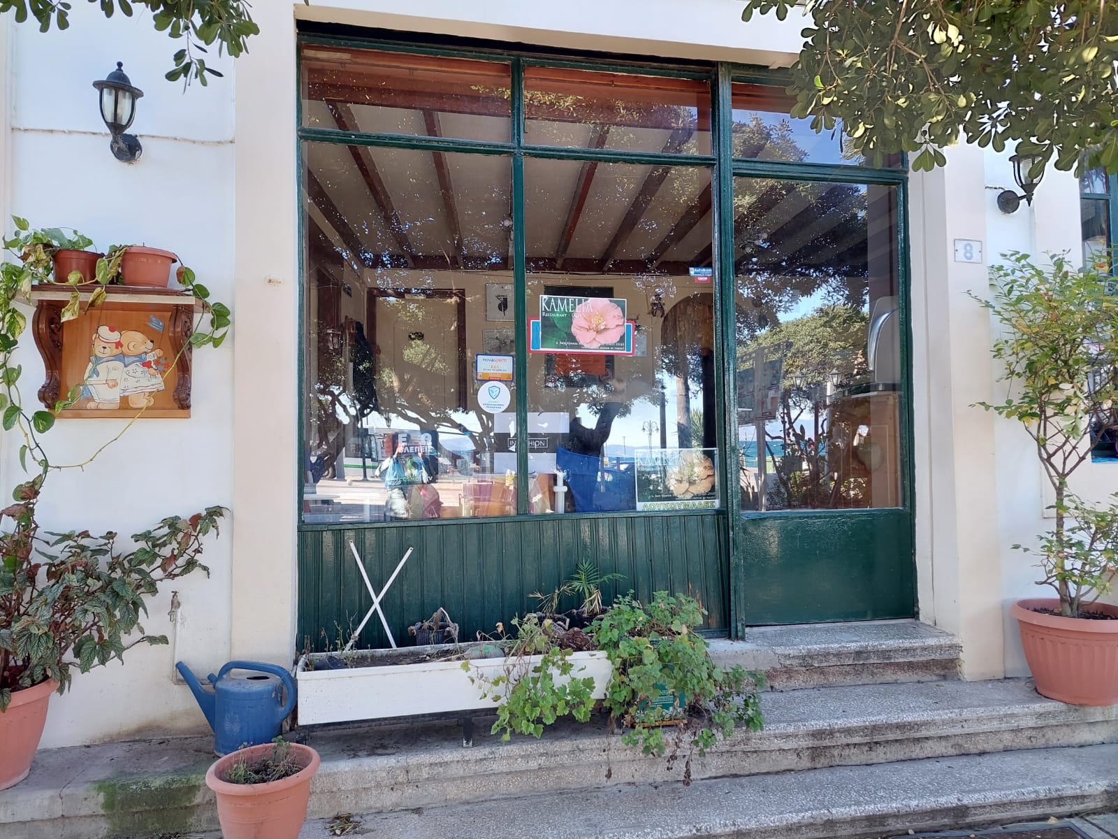 Λουκουμάδες στο Καμέλια… παντός καιρού (βίντεο)