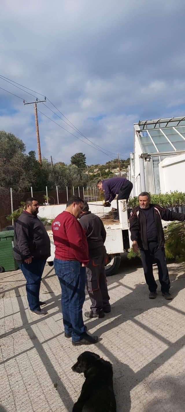 Συνεπές στις δεσμεύσεις του, το Φυτώριο της Περιφέρειας προχώρησε σε εφτά ακόμα παραδόσεις φυτών σε Ρόδο, Τήλο, Νίσυρο και Κω