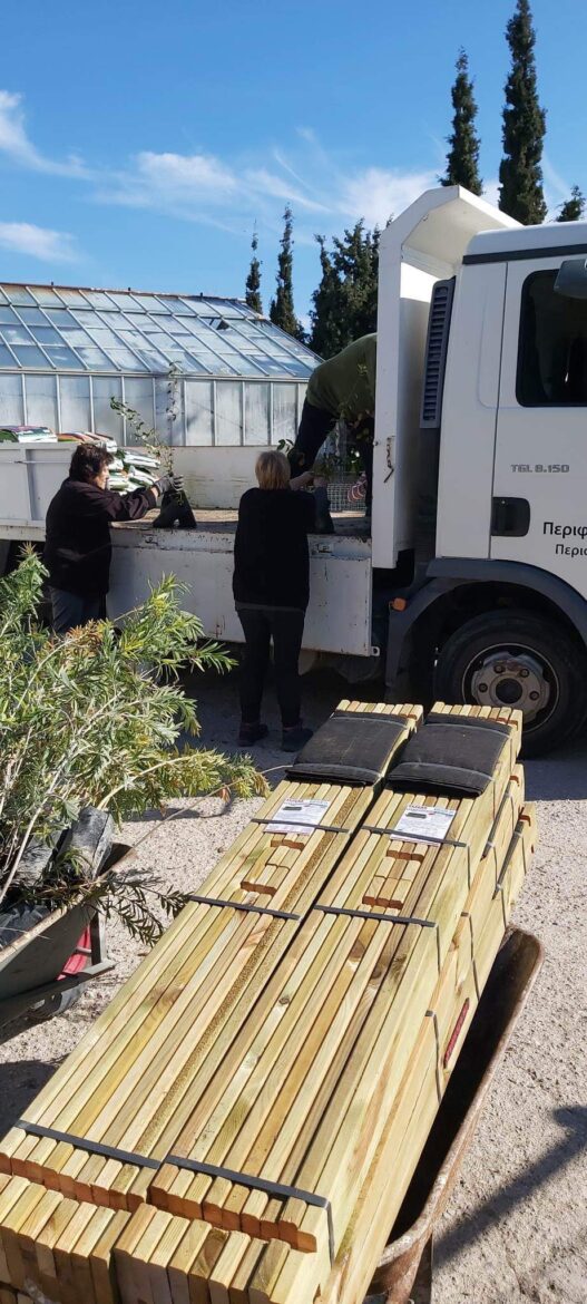 Ντόμινο παραδόσεων από το Περιφερειακό Φυτώριο Νοτίου Αιγαίου.