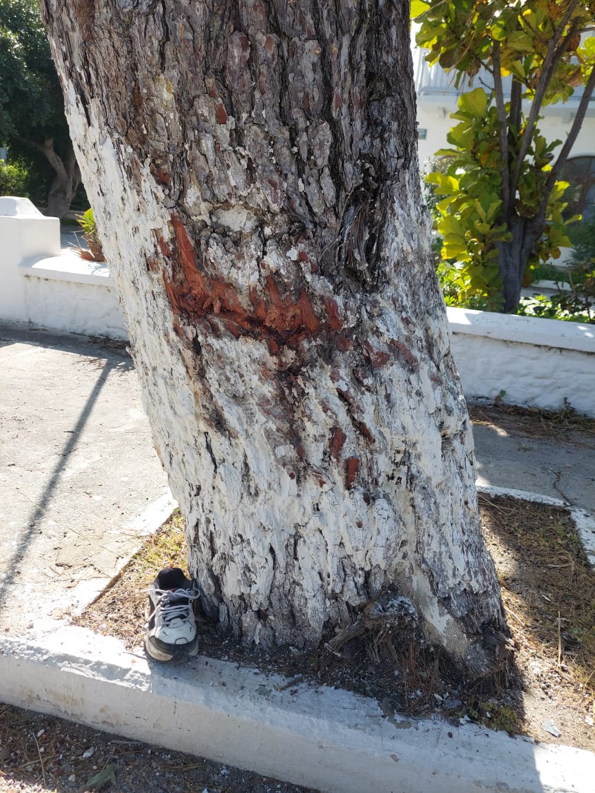 Δικογραφία για το θανατηφόρο ατύχημα στην Κω