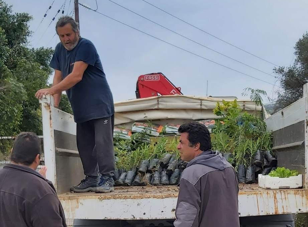 Σε διαρκή παραγωγή και αποστολή φυτών βρίσκεται το Περιφερειακό Φυτώριο Νοτίου Αιγαίου