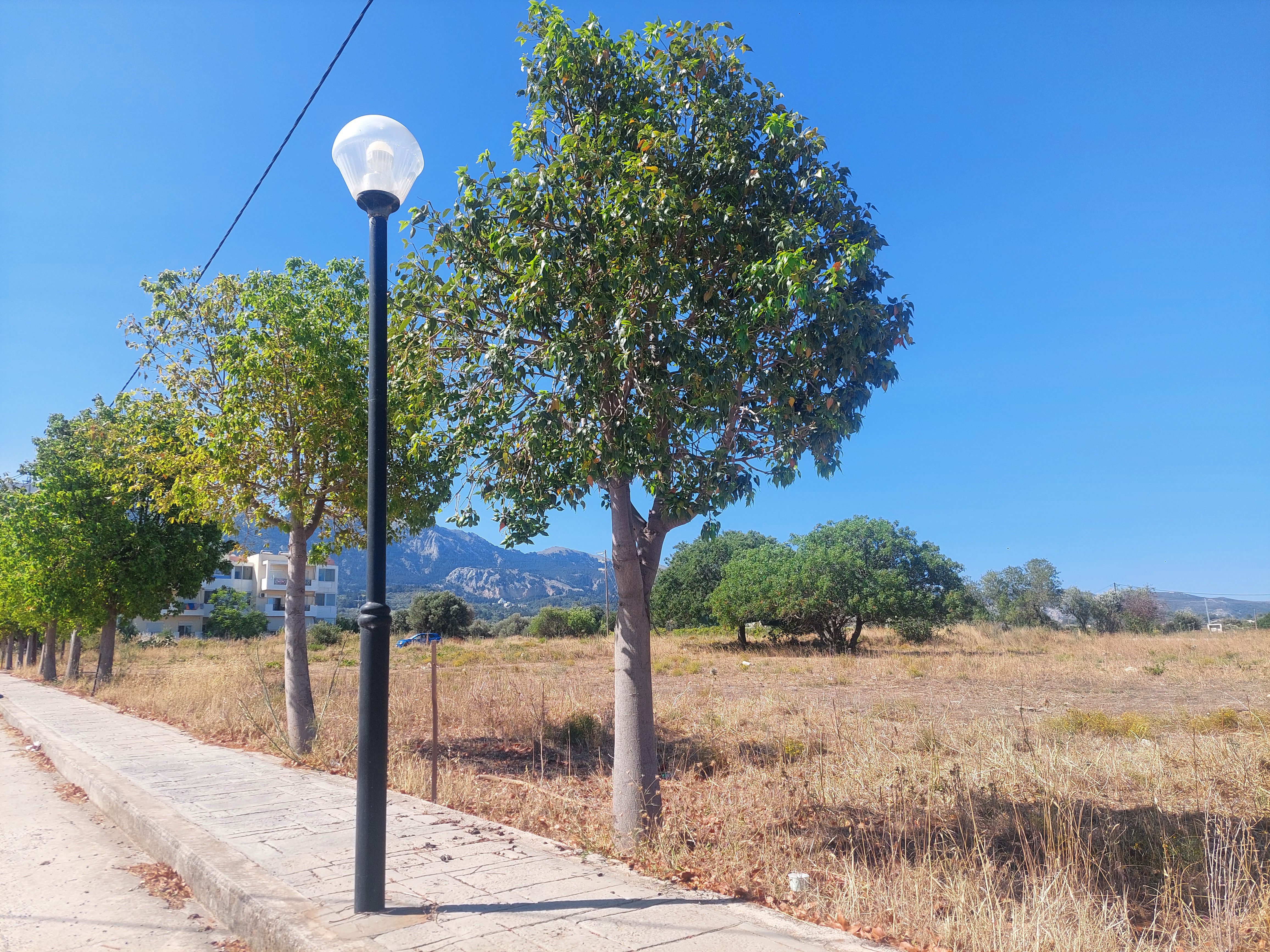 Εργασίες αποψίλωσης χόρτων και ευρύτερου καθαρισμού από το συνεργείο κοινότητας Ασφενδιού