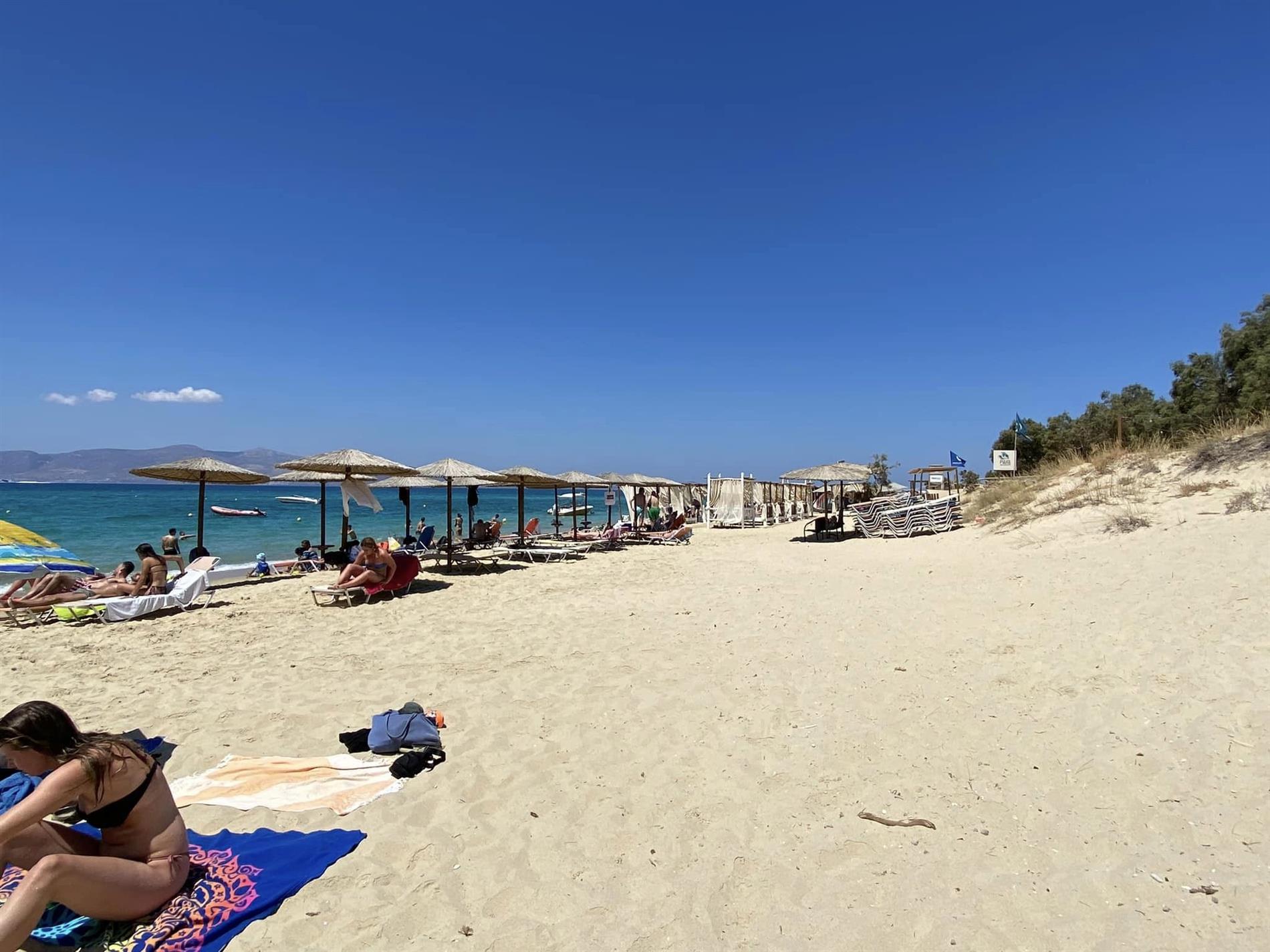 Κίνημα της πετσέτας: Συνεχίζεται το «σαφάρι» ελέγχων στη χώρα – Αυτοψίες σε μεγάλα νησιά και συλλήψεις – Πώς αντιδρούν οι τοπικές κοινωνίες