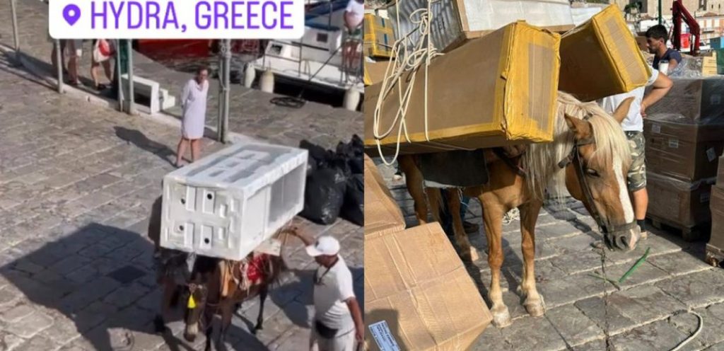 Ύδρα: Άλογα και γαϊδουράκια αναγκάζονται να κουβαλήσουν μέχρι και ψυγεία