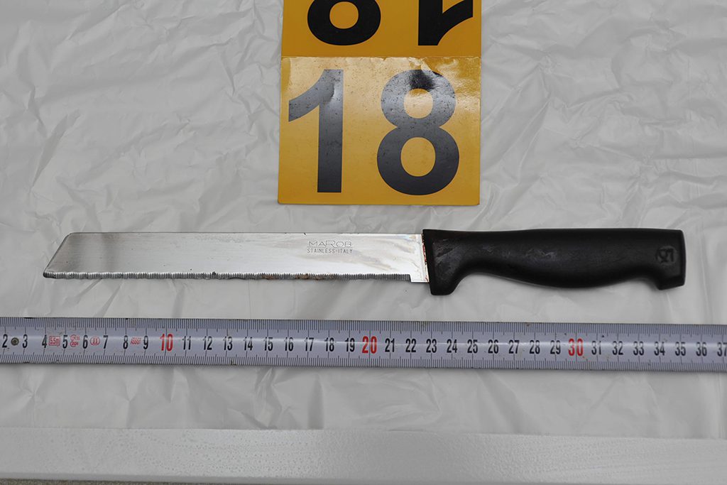 Συνελήφθη στην Γερμανία ο Πακιστανός δολοφόνος της 43χρονης Ρουμάνας Aciu Flopjca – Aurica στην Κω!!!