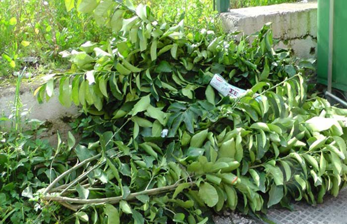 Δήλωση Αντιδημάρχου Σοφοκλή Δουδούς για δημοσιεύματα περί καθαρισμού δημοτικών χώρων