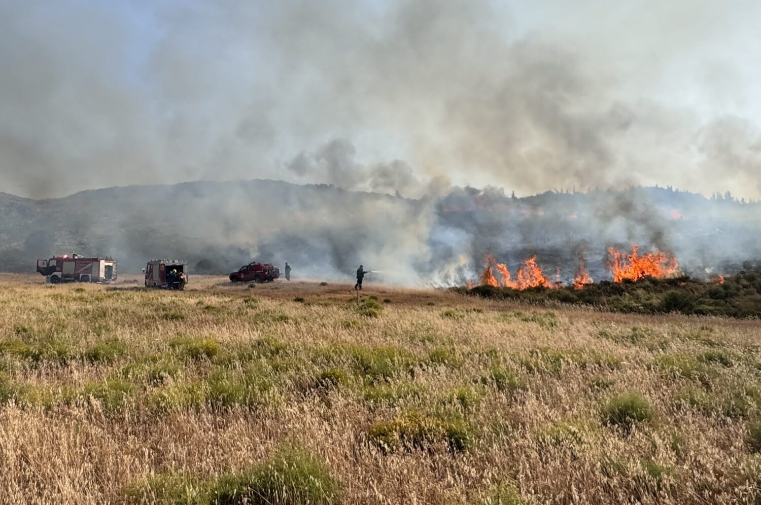 Υπό έλεγχο η φωτιά στο Ψαλίδι – Σε επιφυλακή οι δυνάμεις της Πυροσβεστικής