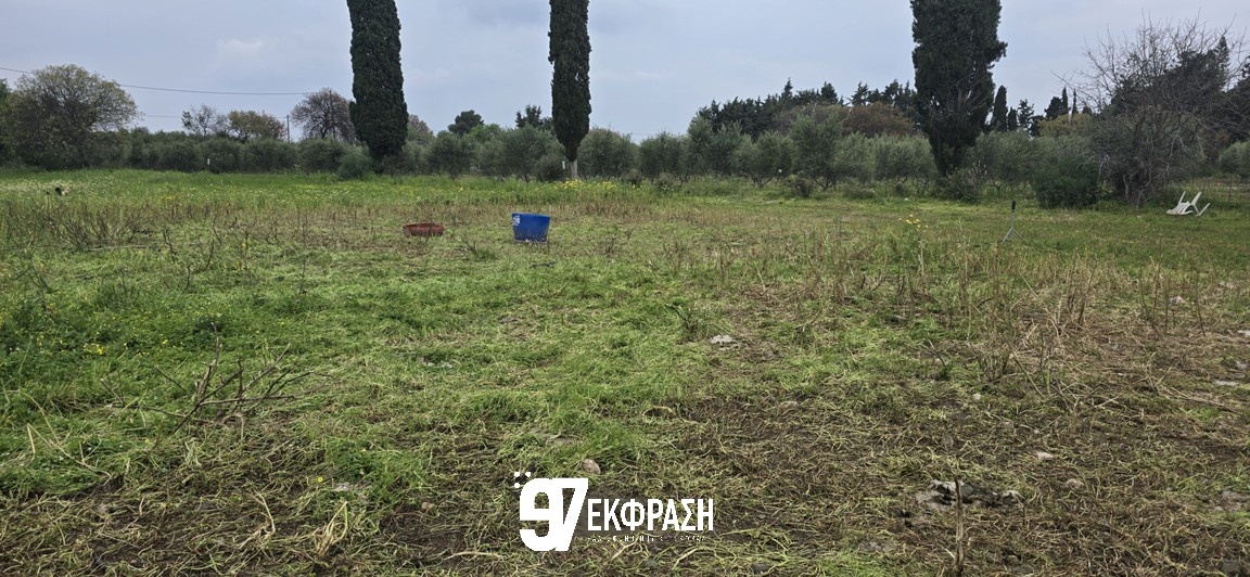 Κτηνοτρόφοι Κω σε Απόγνωση: «Το Κράτος Αρνείται τον Προληπτικό Εμβολιασμό των Ζώων μας»