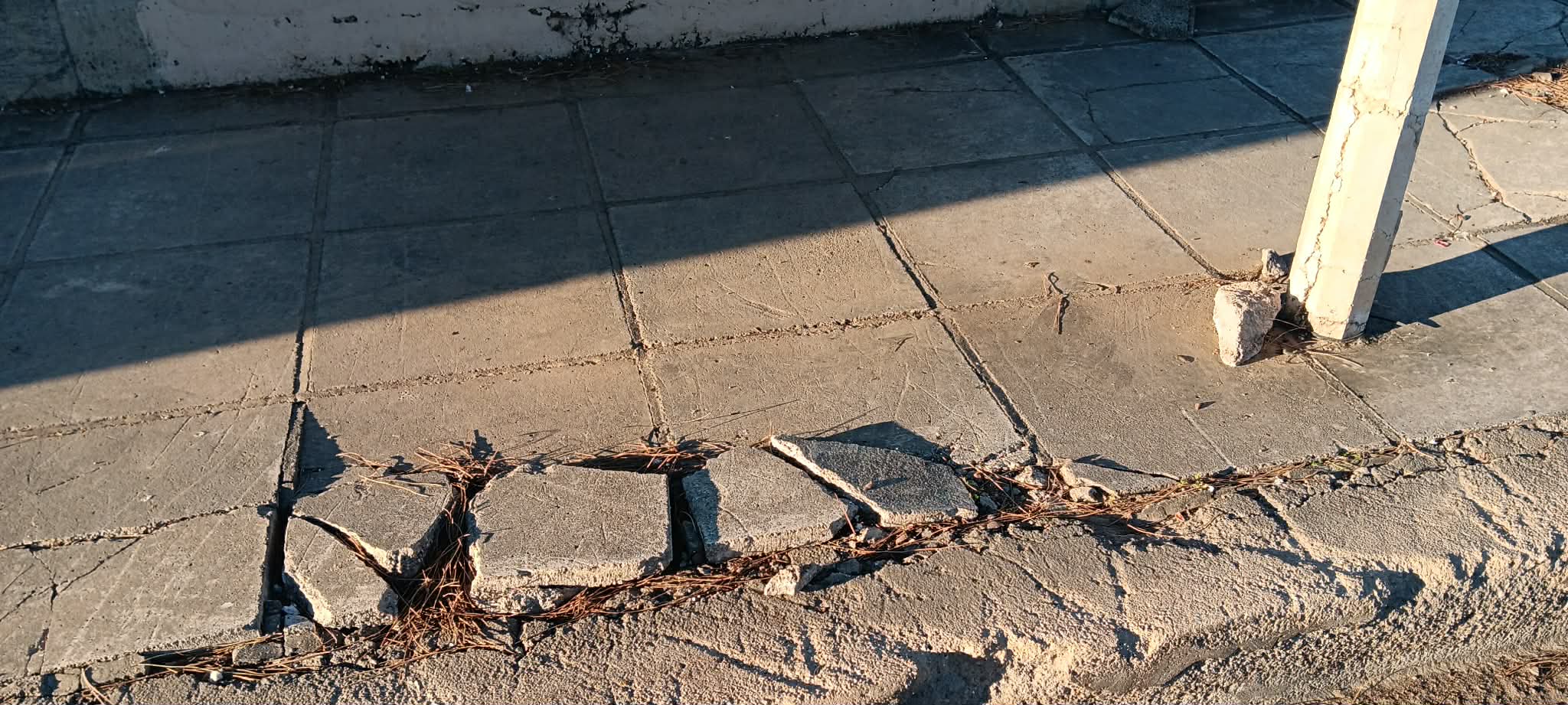 ΑΡΤΕΜΙΣΙΑΣ