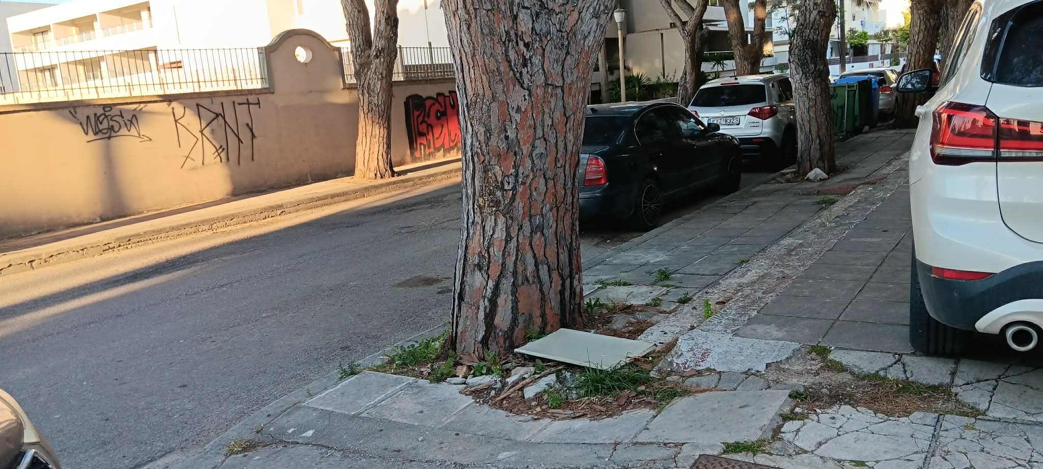 ΑΡΤΕΜΙΣΙΑΣ