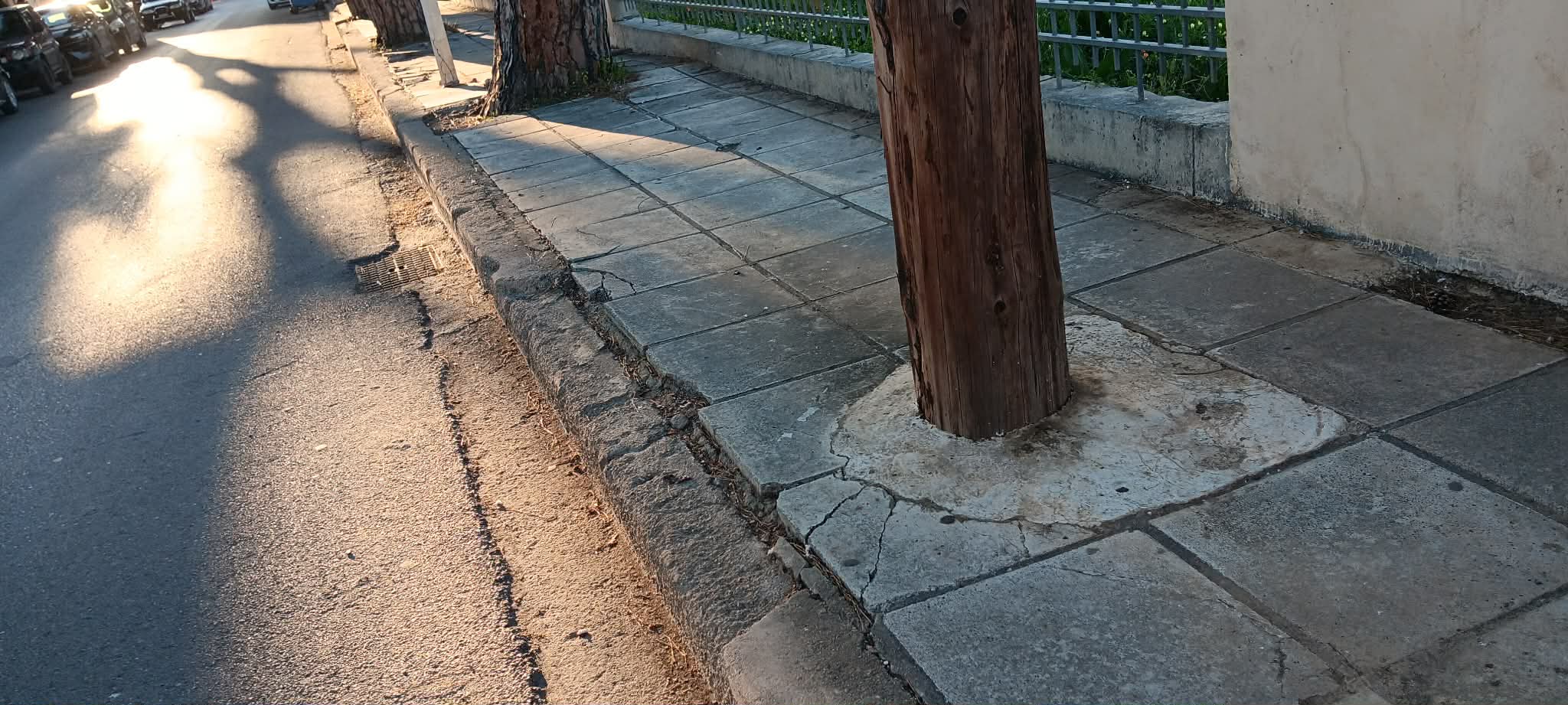 ΑΡΤΕΜΙΣΙΑΣ