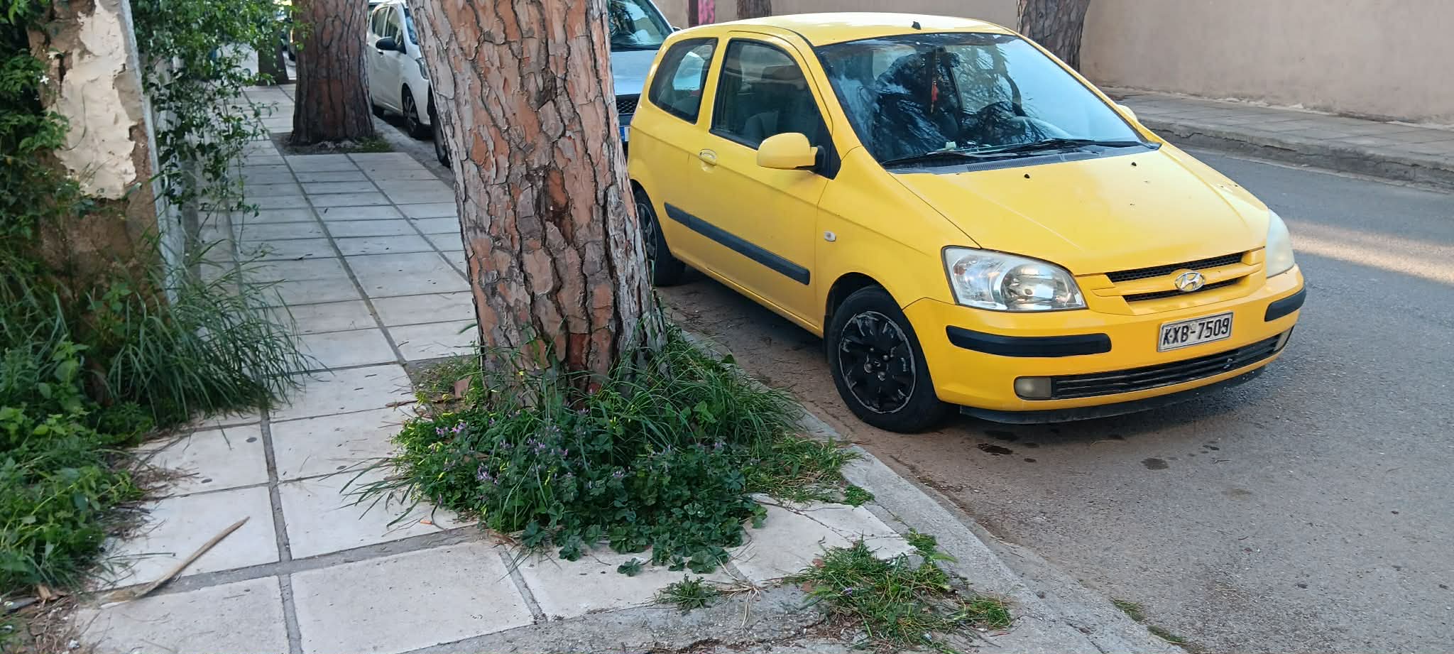 ΑΡΤΕΜΙΣΙΑΣ