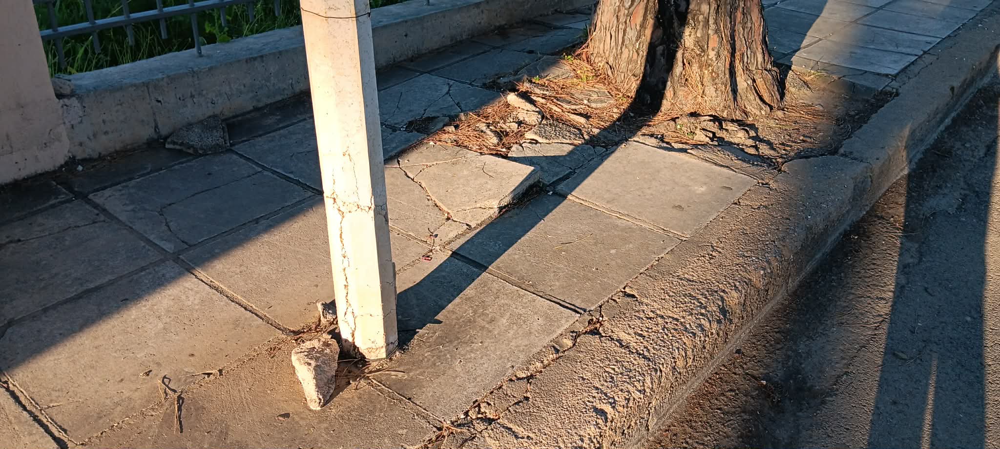 ΑΡΤΕΜΙΣΙΑΣ