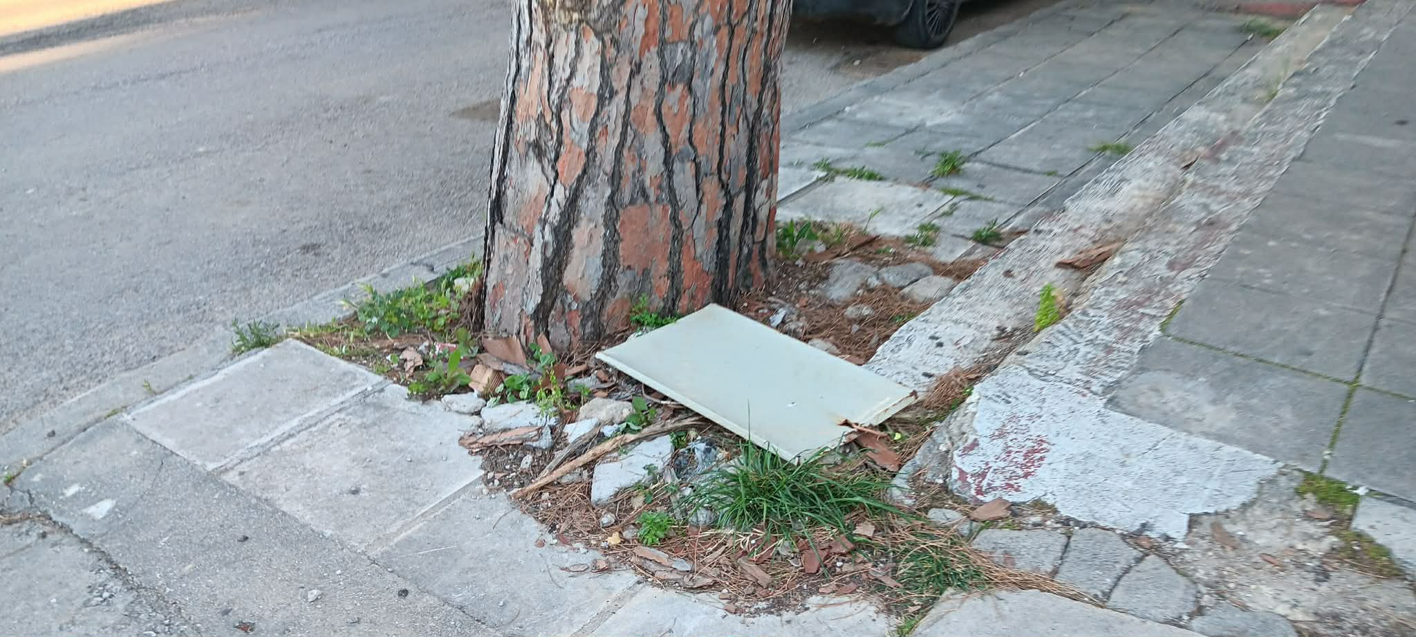 ΑΡΤΕΜΙΣΙΑΣ