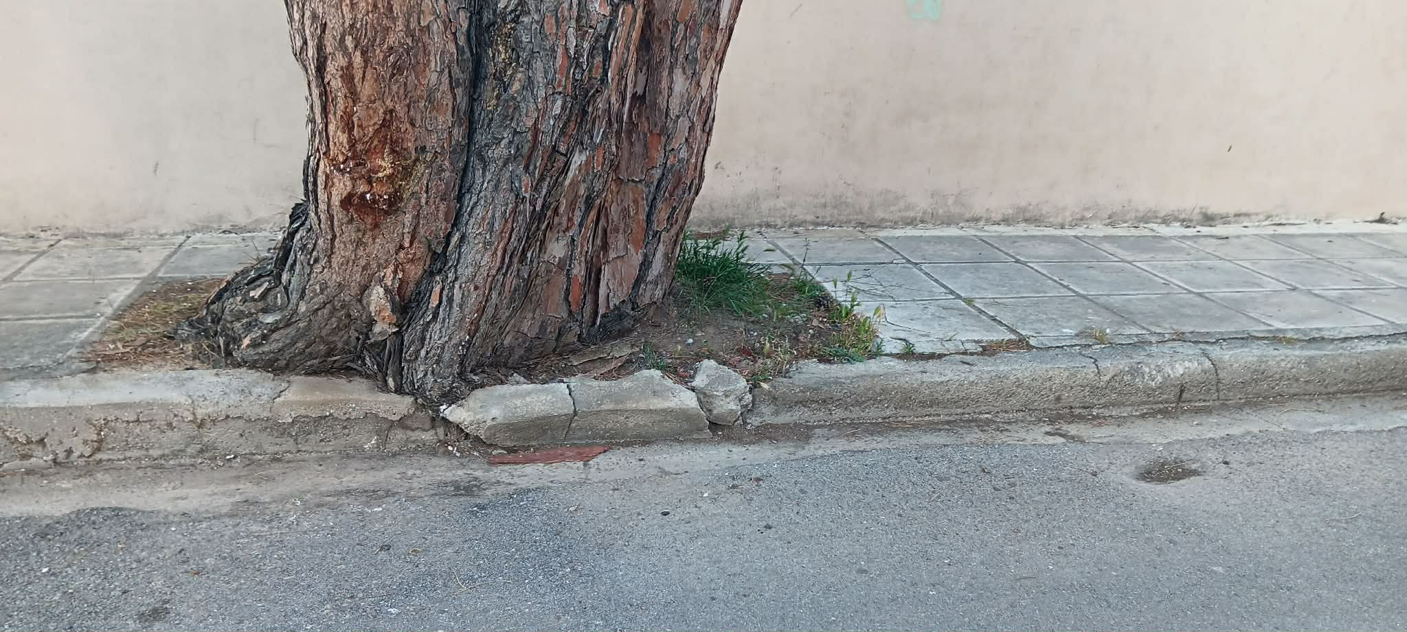 ΑΡΤΕΜΙΣΙΑΣ