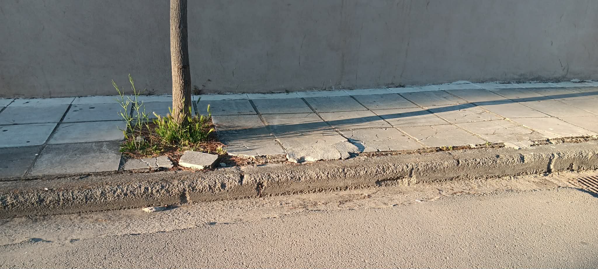 ΑΡΤΕΜΙΣΙΑΣ