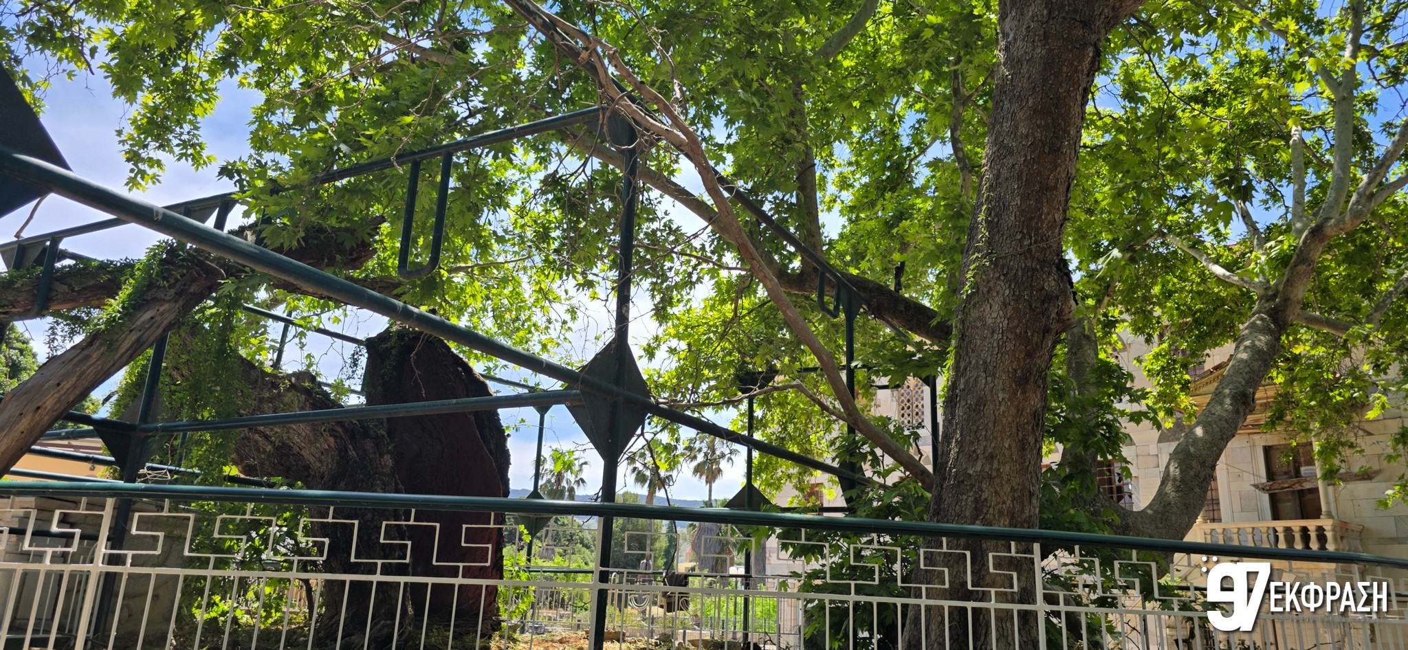 Δράση μετά τα παράπονα – Συνεργεία του Δήμου καθάρισαν την Πλατεία Πλατάνου (Photo & Video)