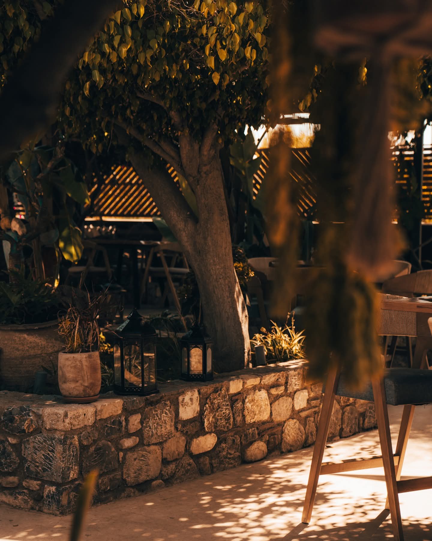 King Size Beach Resto Bar: Η Απόλυτη All-Day Εμπειρία στο Τιγκάκι της Κω.
