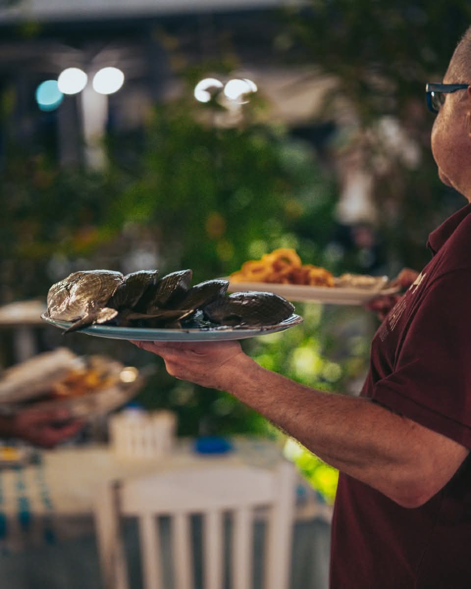 Psaraki Seafood: Η αυθεντική γεύση της θάλασσας στην καρδιά της Κω!
