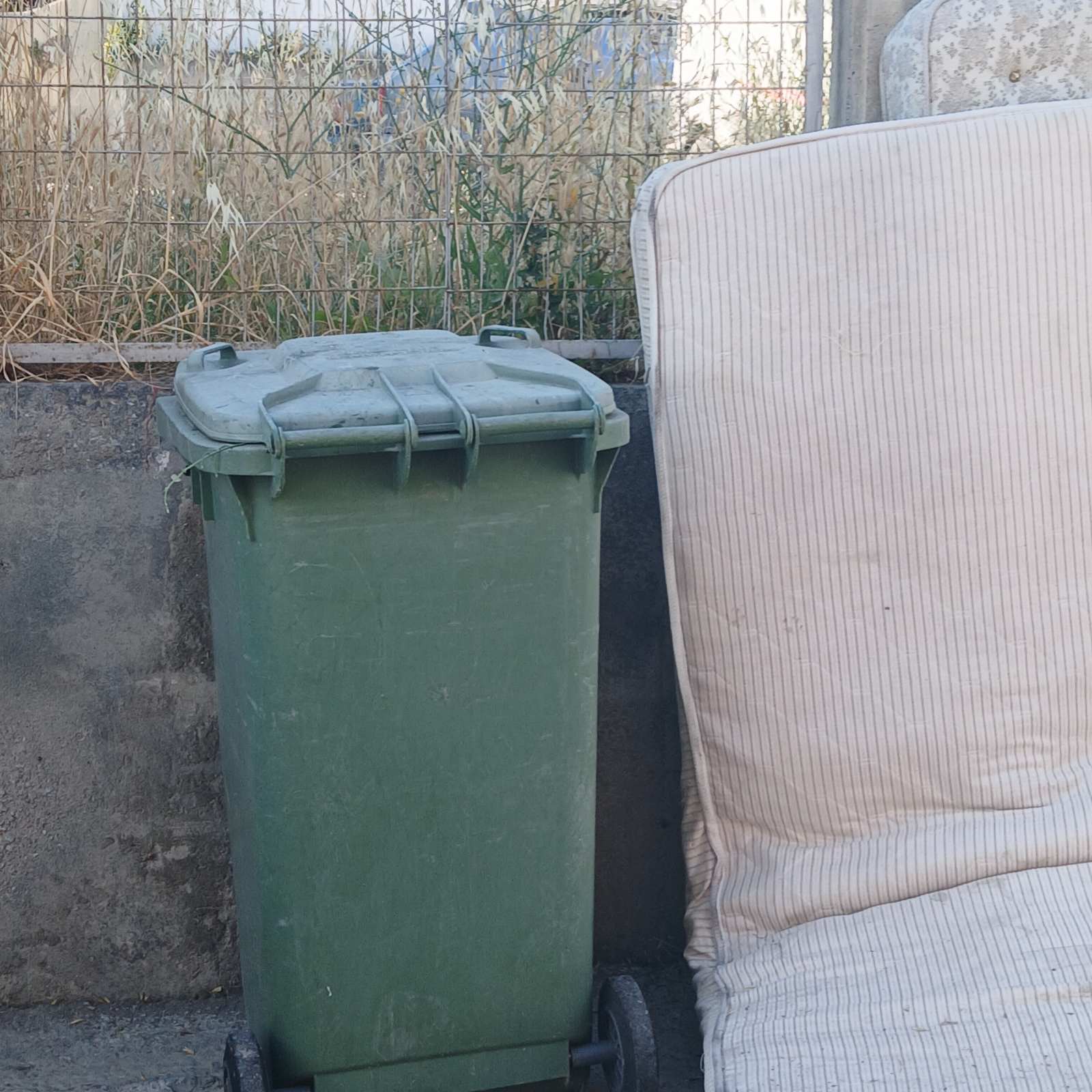 Ευτυχία Σταθοπούλου για Πυλί: “Η κραυγή απόγνωσης για την εικόνα εγκατάλειψης και την απαξίωση των κατοίκων” 