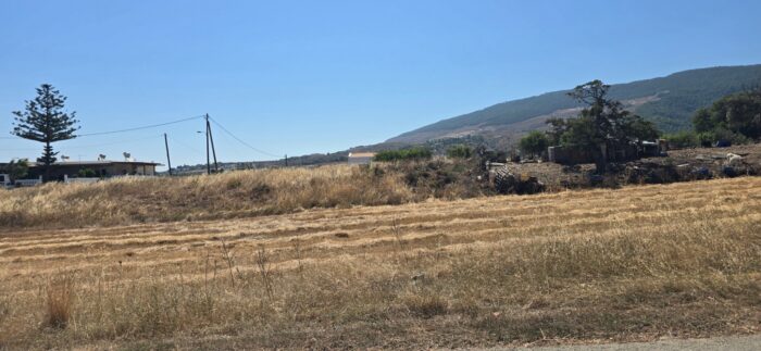 χορτα