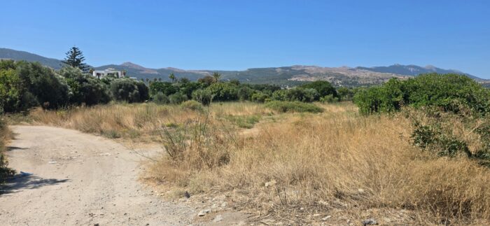 χορτα