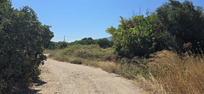 χορτα