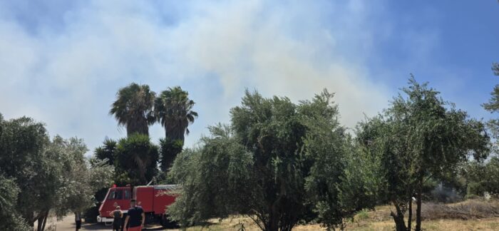 Αυτόματο προσχέδιο