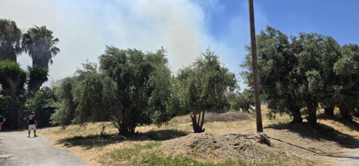 Αυτόματο προσχέδιο