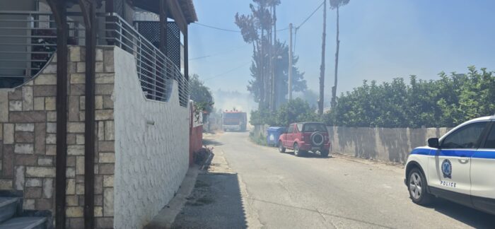 Αυτόματο προσχέδιο