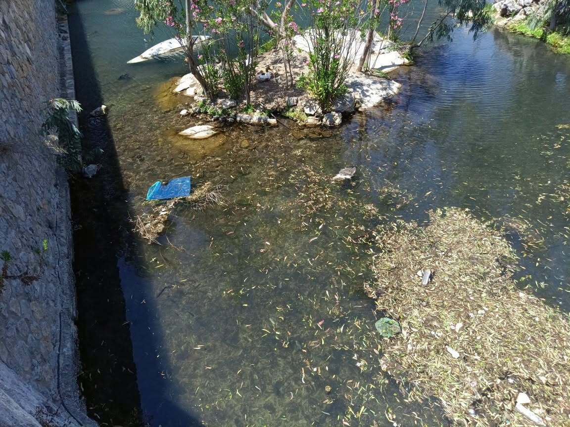 Εικόνες που σοκάρουν από τη Λιμνούλα στο Πυλί: Νεκρές πάπιες και σκουπίδια, καταγγελίες για πλήρη εγκατάλειψη (Φωτο)