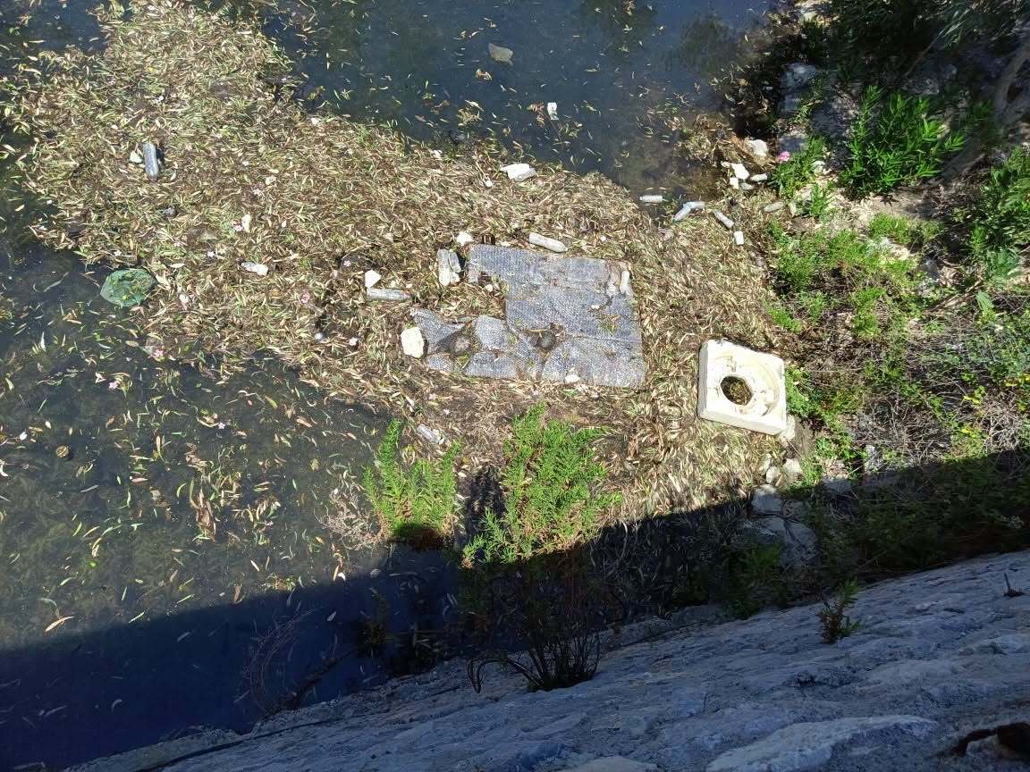 Εικόνες που σοκάρουν από τη Λιμνούλα στο Πυλί: Νεκρές πάπιες και σκουπίδια, καταγγελίες για πλήρη εγκατάλειψη (Φωτο)