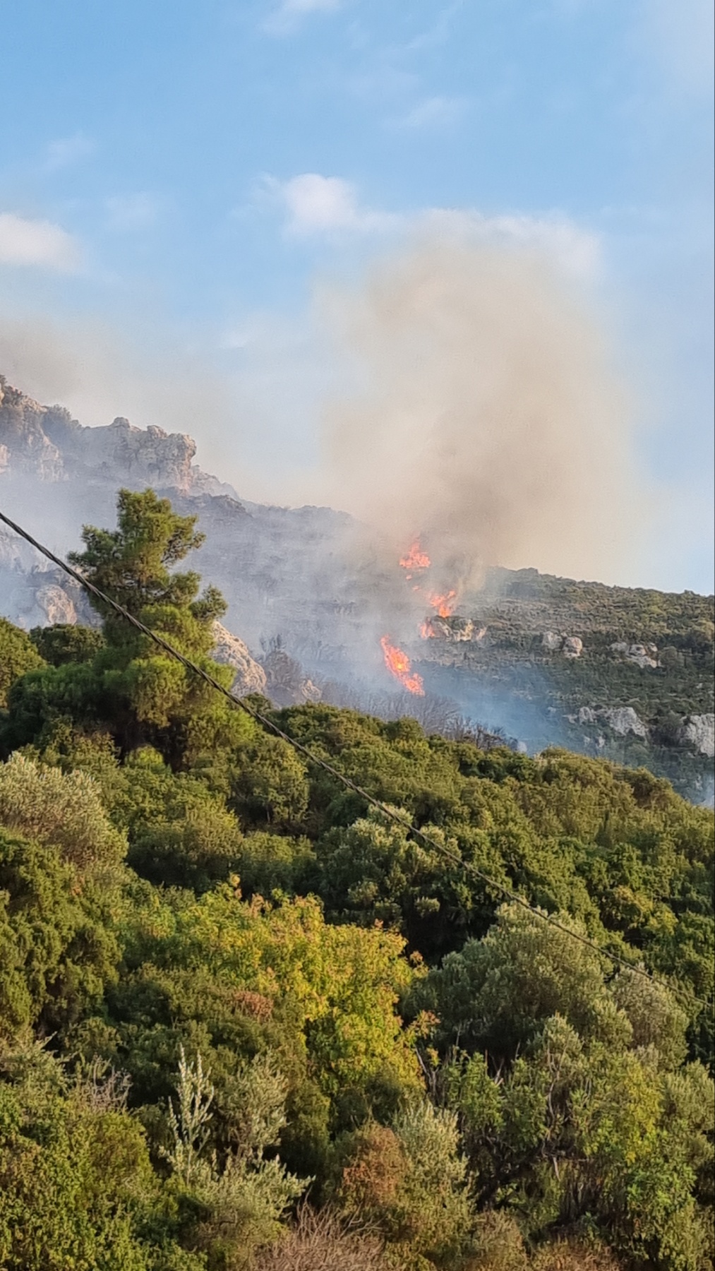 Συναγερμός στο Πυλί: Φωτιά σε δύσβατη περιοχή – Στη μάχη και εναέρια μέσα