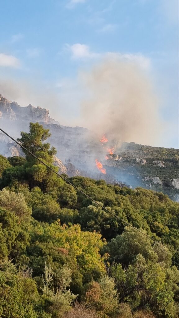 Συναγερμός στο Πυλί: Φωτιά σε δύσβατη περιοχή – Στη μάχη και εναέρια μέσα