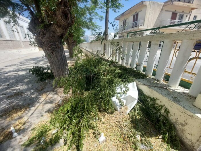 ΓΙΩΡΓΑΛΛΗΣ ΜΙΧΑΛΗΣ: Το πρώην Δημοτικό Σχολείο Καρδάμαινας καταρρέει – Η εγκατάλειψη έχει την υπογραφή της δημοτικής αρχής !!