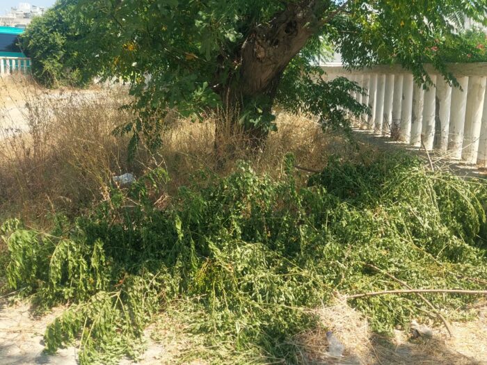 ΓΙΩΡΓΑΛΛΗΣ ΜΙΧΑΛΗΣ: Το πρώην Δημοτικό Σχολείο Καρδάμαινας καταρρέει – Η εγκατάλειψη έχει την υπογραφή της δημοτικής αρχής !!