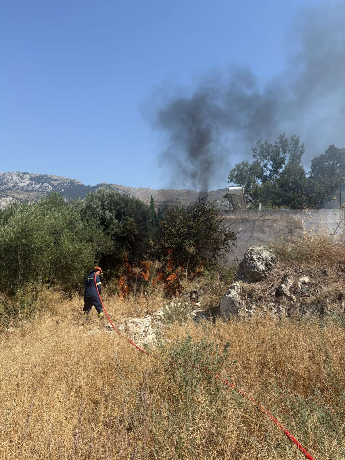 Συναγερμός στο Πυλί: Φωτιά δίπλα σε κατοικία – Η άμεση επέμβαση της πυροσβεστικής απέτρεψε τα χειρότερα